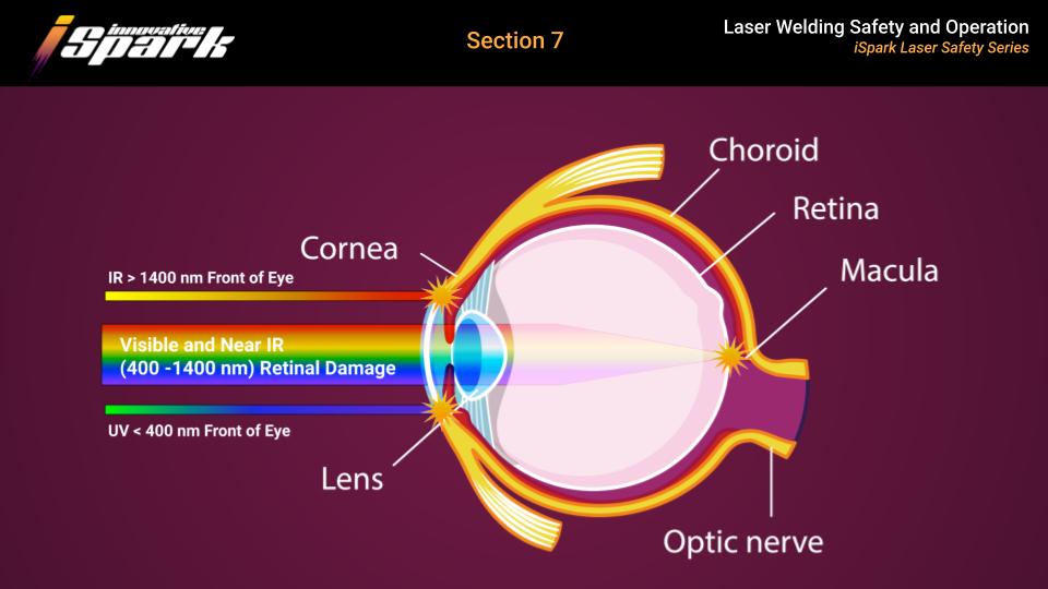 LSO-Laser-Training-Generic